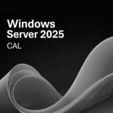 Dell Windows Server 2025 Standard, CAL, 1 device